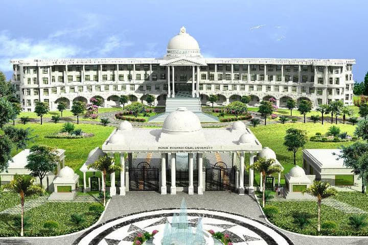 Noida International University